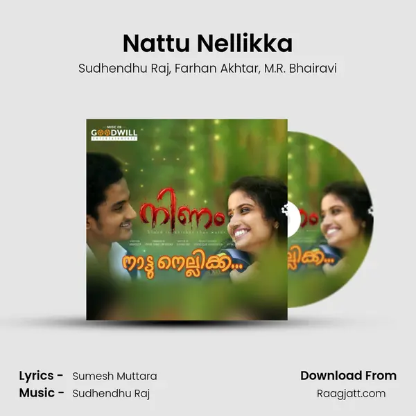 Nattu Nellikka mp3 song