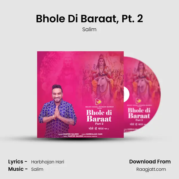 Bhole Di Baraat, Pt. 2 - Salim album cover 