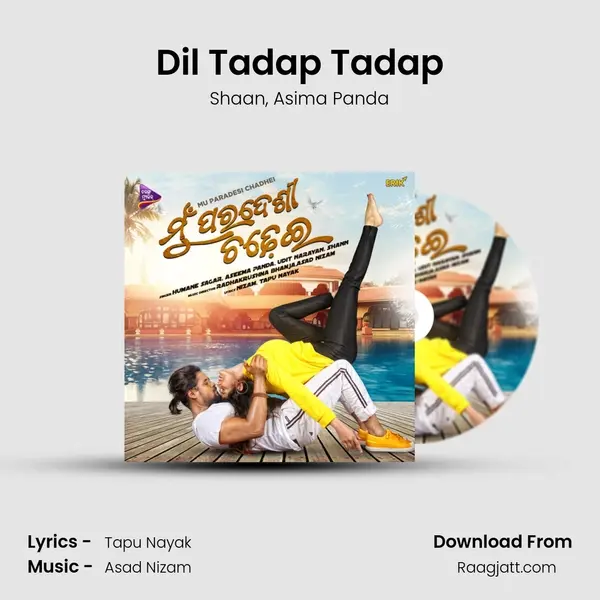 Dil Tadap Tadap - Shaan album cover 