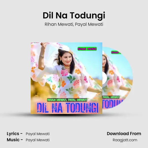 Dil Na Todungi - Rihan Mewati album cover 