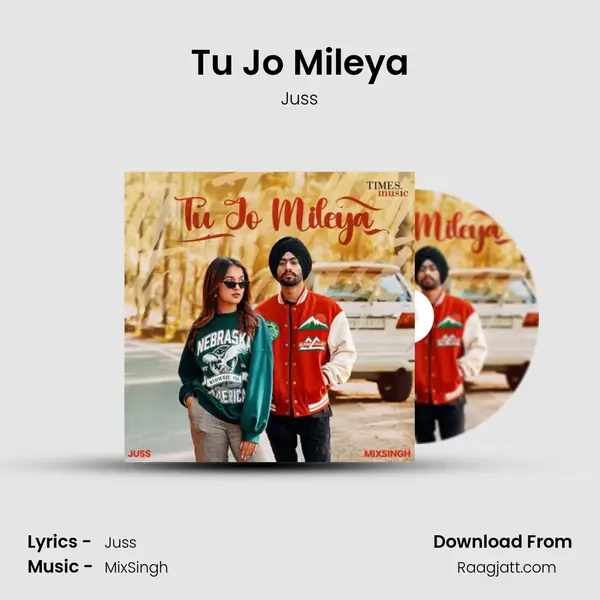 Tu Jo Mileya mp3 song