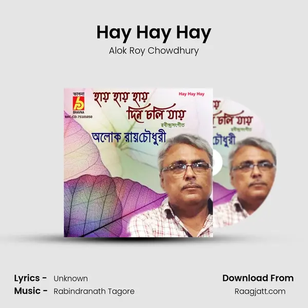 Hay Hay Hay - Alok Roy Chowdhury album cover 