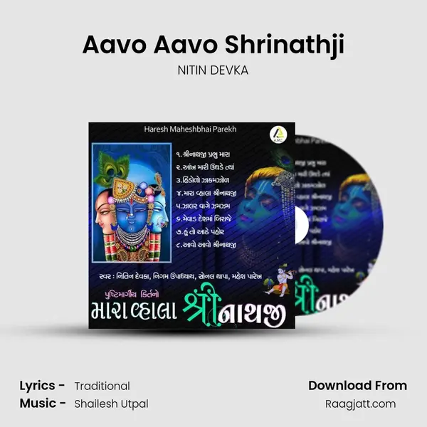 Aavo Aavo Shrinathji - NITIN DEVKA album cover 