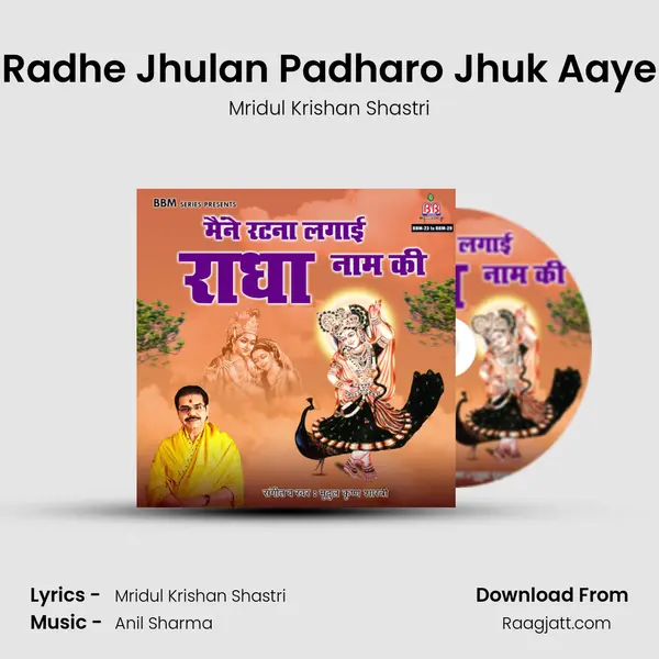 Radhe Jhulan Padharo Jhuk Aaye mp3 song