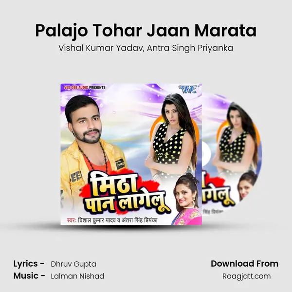 Palajo Tohar Jaan Marata - Vishal Kumar Yadav album cover 