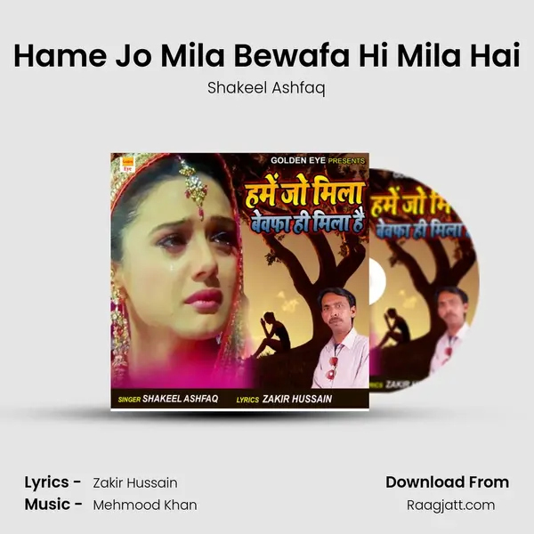 Hame Jo Mila Bewafa Hi Mila Hai mp3 song