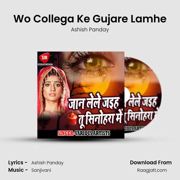 Wo Collega Ke Gujare Lamhe - Ashish Panday album cover 