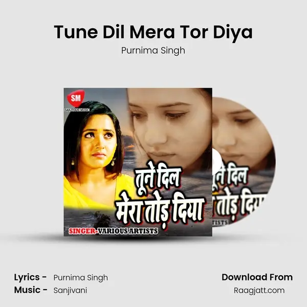 Tune Dil Mera Tor Diya - Purnima Singh album cover 