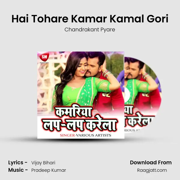 Hai Tohare Kamar Kamal Gori mp3 song