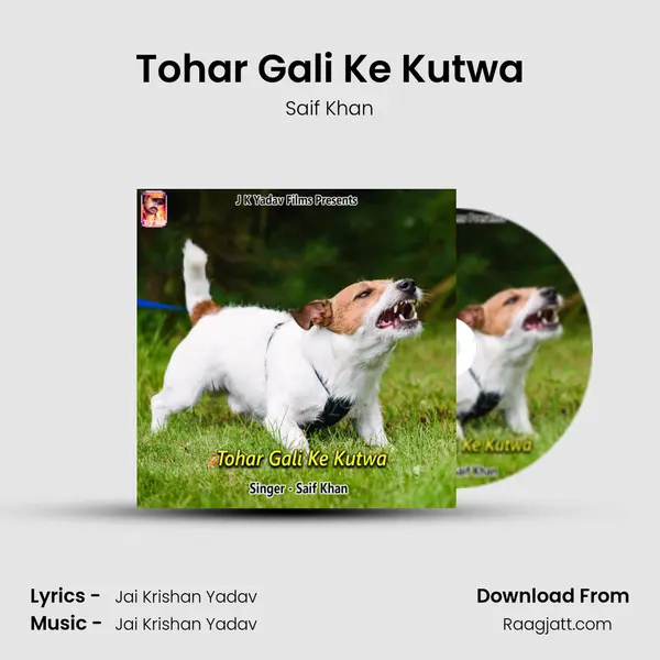 Tohar Gali Ke Kutwa mp3 song