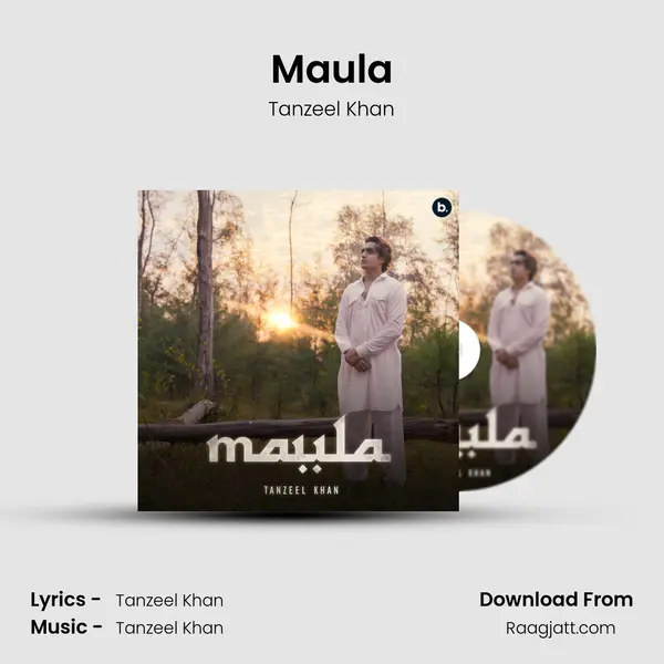 Maula - Tanzeel Khan album cover 