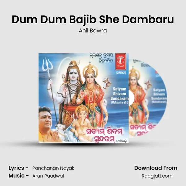 Dum Dum Bajib She Dambaru - Anil Bawra album cover 