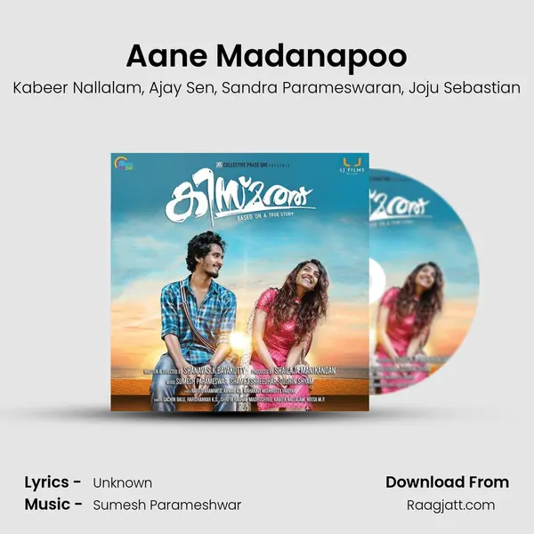 Aane Madanapoo - Kabeer Nallalam album cover 