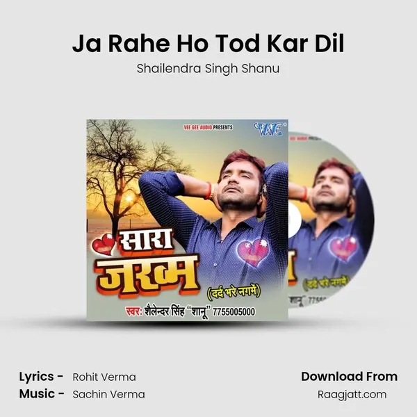 Ja Rahe Ho Tod Kar Dil mp3 song