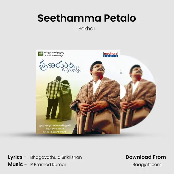 Seethamma Petalo - Sekhar album cover 