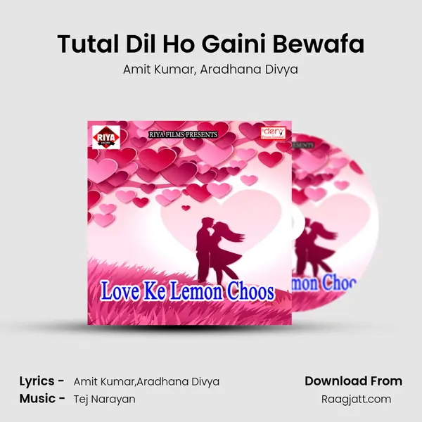 Tutal Dil Ho Gaini Bewafa mp3 song