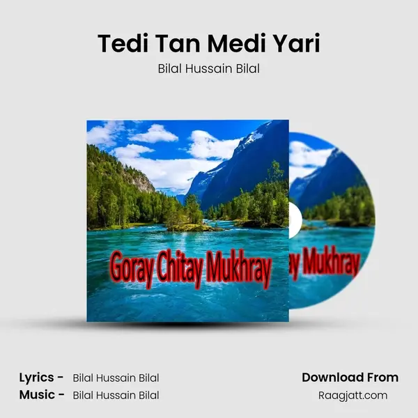 Tedi Tan Medi Yari - Bilal Hussain Bilal album cover 