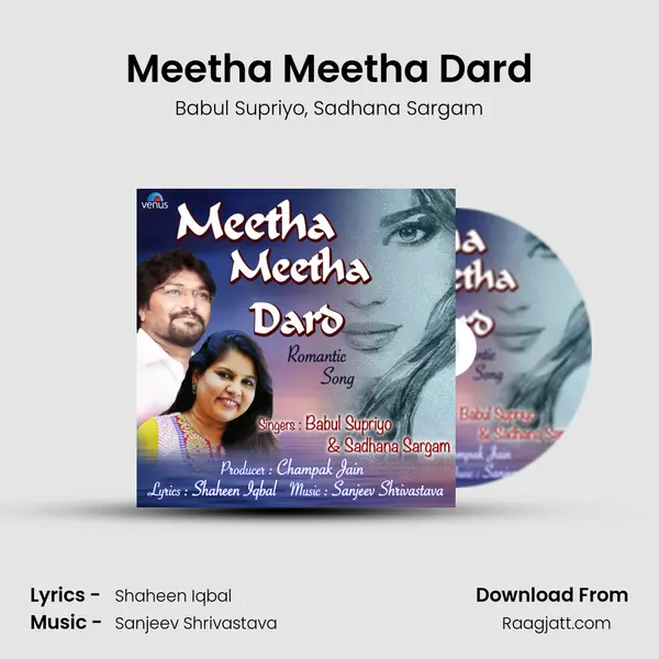 Meetha Meetha Dard mp3 song