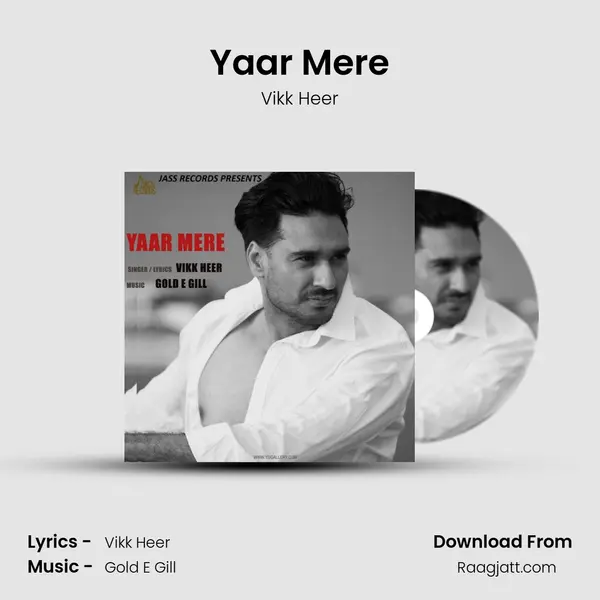 Yaar Mere - Vikk Heer album cover 