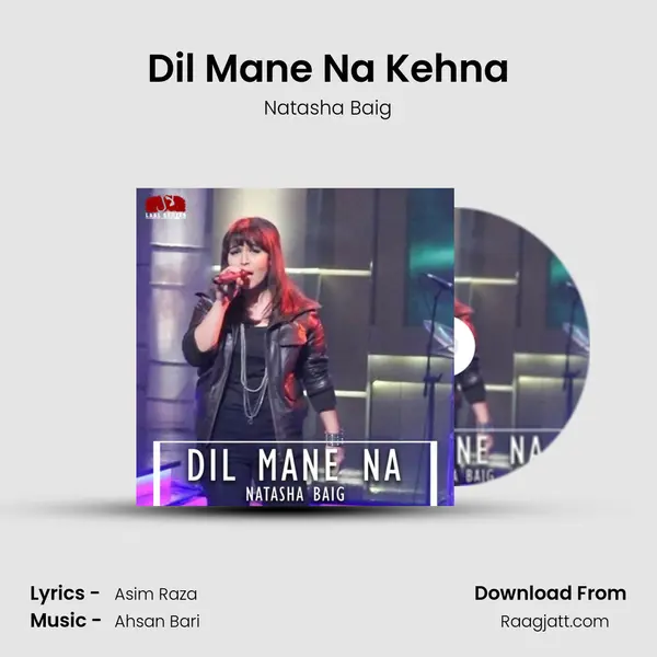 Dil Mane Na Kehna mp3 song