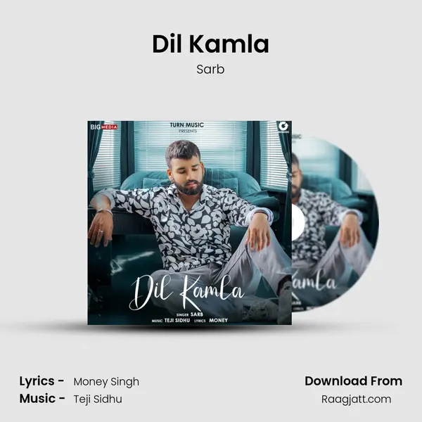 Dil Kamla - Sarb album cover 