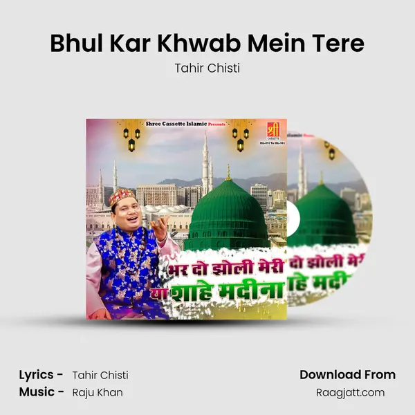 Bhul Kar Khwab Mein Tere mp3 song