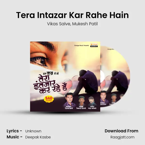 Tera Intazar Kar Rahe Hain - Vikas Salve album cover 