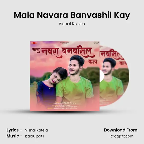 Mala Navara Banvashil Kay - Vishal Katela album cover 