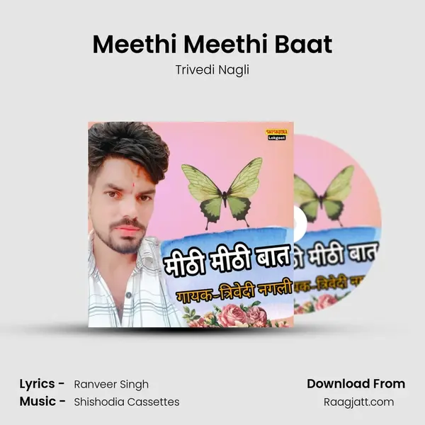 Meethi Meethi Baat - Trivedi Nagli album cover 