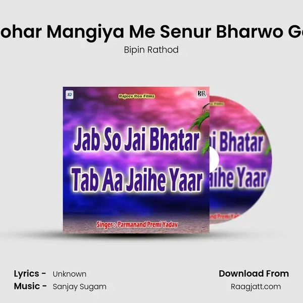 Tohar Mangiya Me Senur Bharwo Ge - Bipin Rathod album cover 