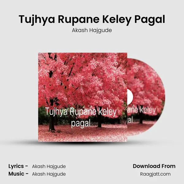 Tujhya Rupane Keley Pagal mp3 song