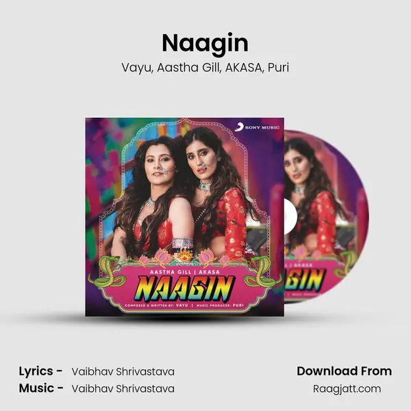 Naagin - Vayu album cover 