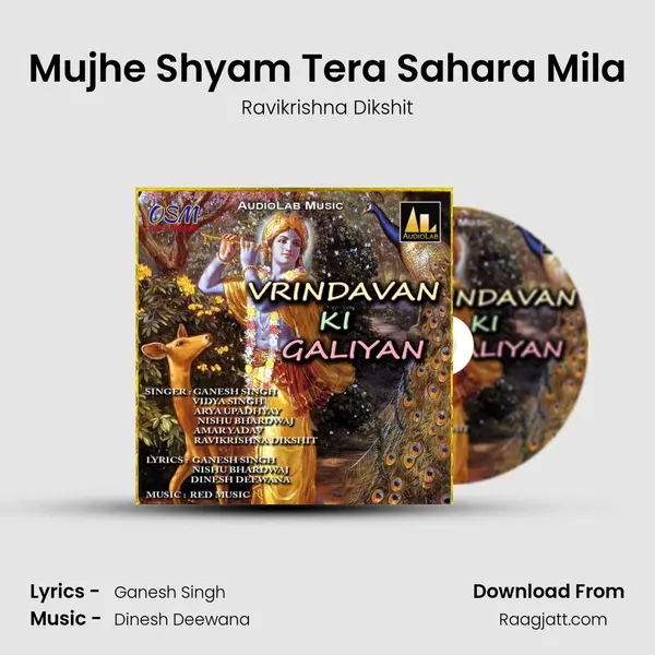 Mujhe Shyam Tera Sahara Mila mp3 song