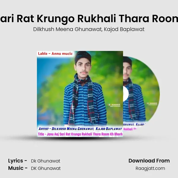 Janu Aaj Sari Rat Krungo Rukhali Thara Room Kh Bharh - Dilkhush Meena Ghunawat album cover 