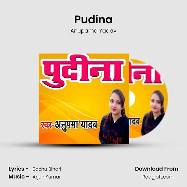 Pudina - Anupama Yadav album cover 