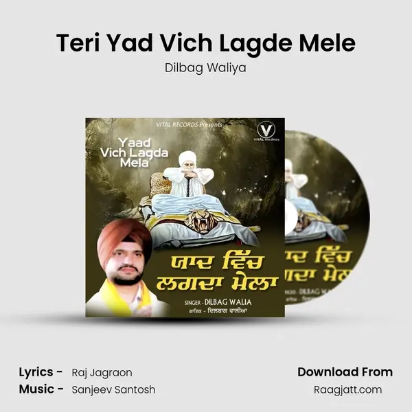 Teri Yad Vich Lagde Mele - Dilbag Waliya album cover 