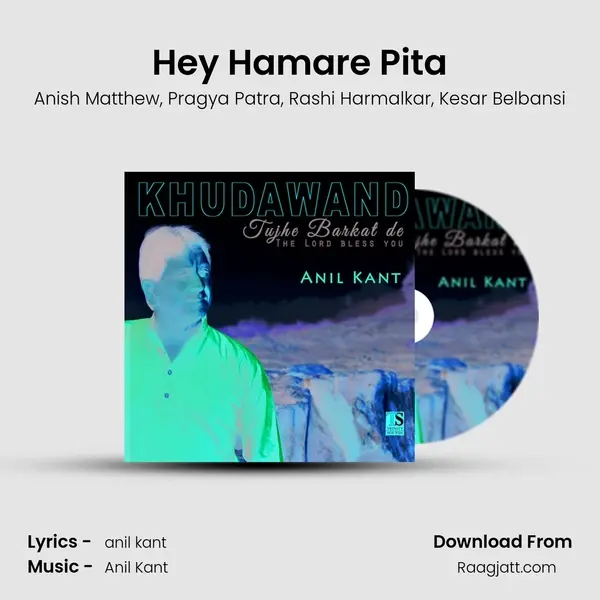 Hey Hamare Pita - Anish Matthew album cover 