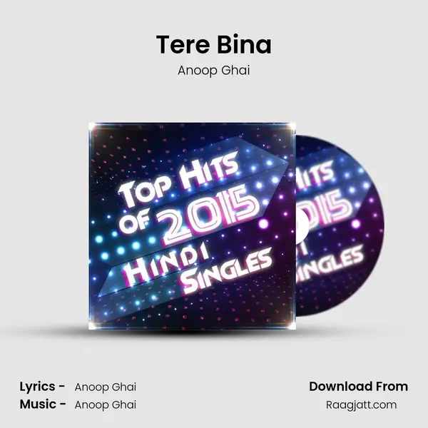 Tere Bina - Anoop Ghai album cover 