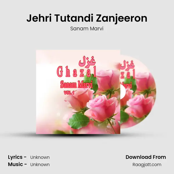 Jehri Tutandi Zanjeeron mp3 song