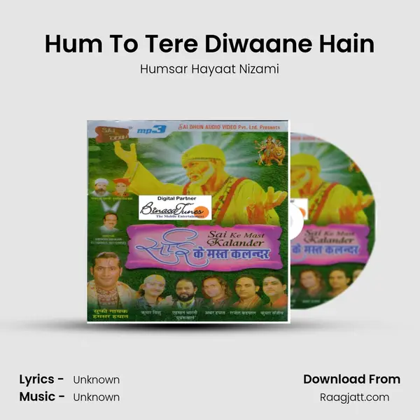 Hum To Tere Diwaane Hain - Humsar Hayaat Nizami album cover 