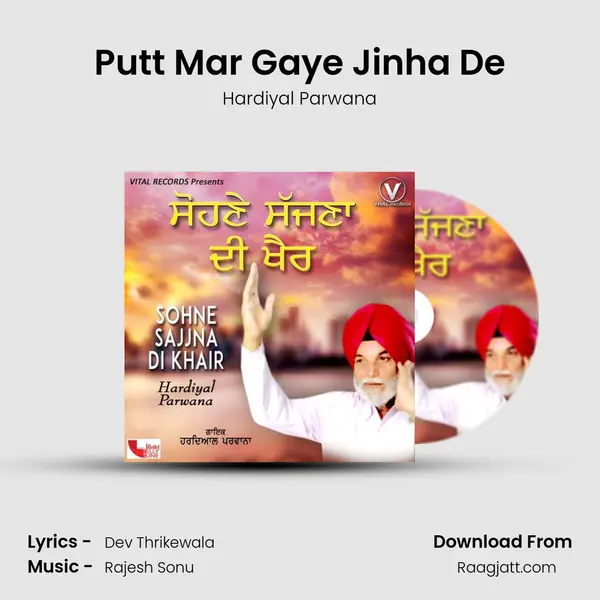 Putt Mar Gaye Jinha De - Hardiyal Parwana album cover 