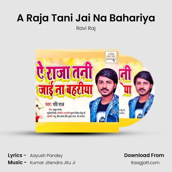 A Raja Tani Jai Na Bahariya mp3 song