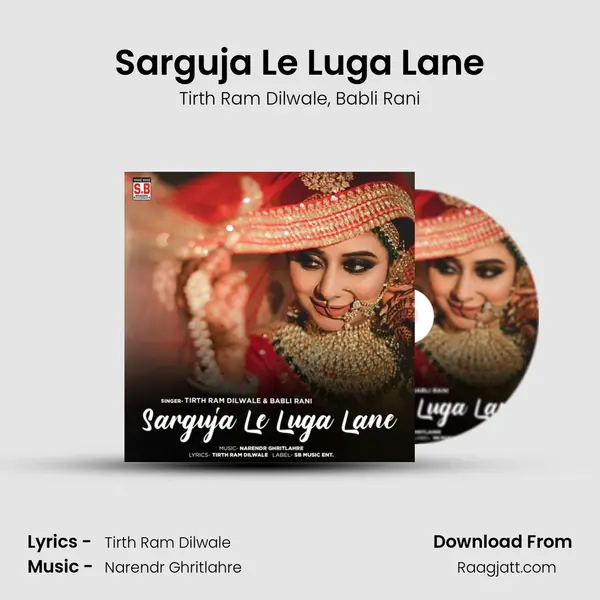 Sarguja Le Luga Lane - Tirth Ram Dilwale album cover 