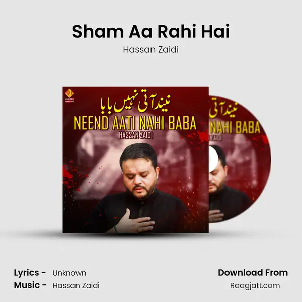 Sham Aa Rahi Hai - Hassan Zaidi album cover 