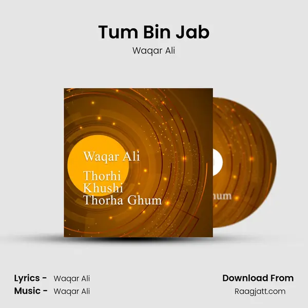 Tum Bin Jab mp3 song