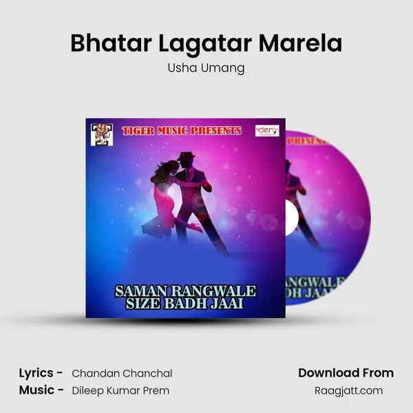 Bhatar Lagatar Marela mp3 song