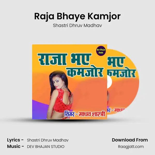 Raja Bhaye Kamjor - Shastri Dhruv Madhav album cover 