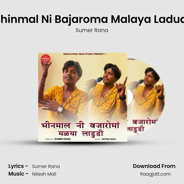 Bhinmal Ni Bajaroma Malaya Ladudi mp3 song