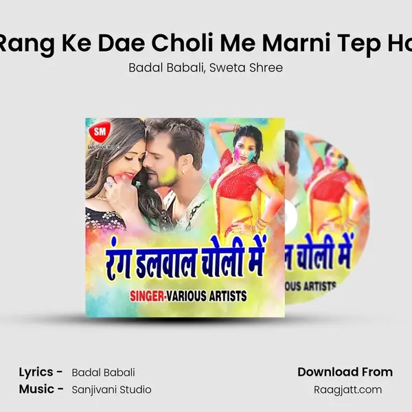 Rang Ke Dae Choli Me Marni Tep Ho mp3 song