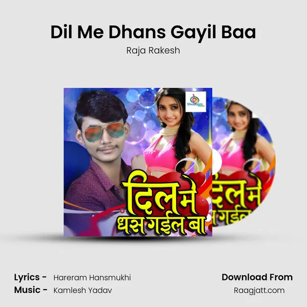 Dil Me Dhans Gayil Baa - Raja Rakesh album cover 